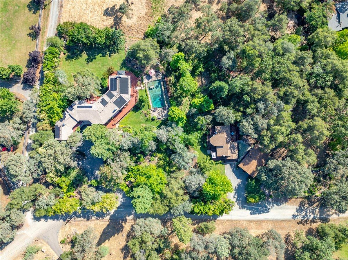 10947 East Lime Kiln Road Grass Valley, CA 95949 - Photo 4 of 94