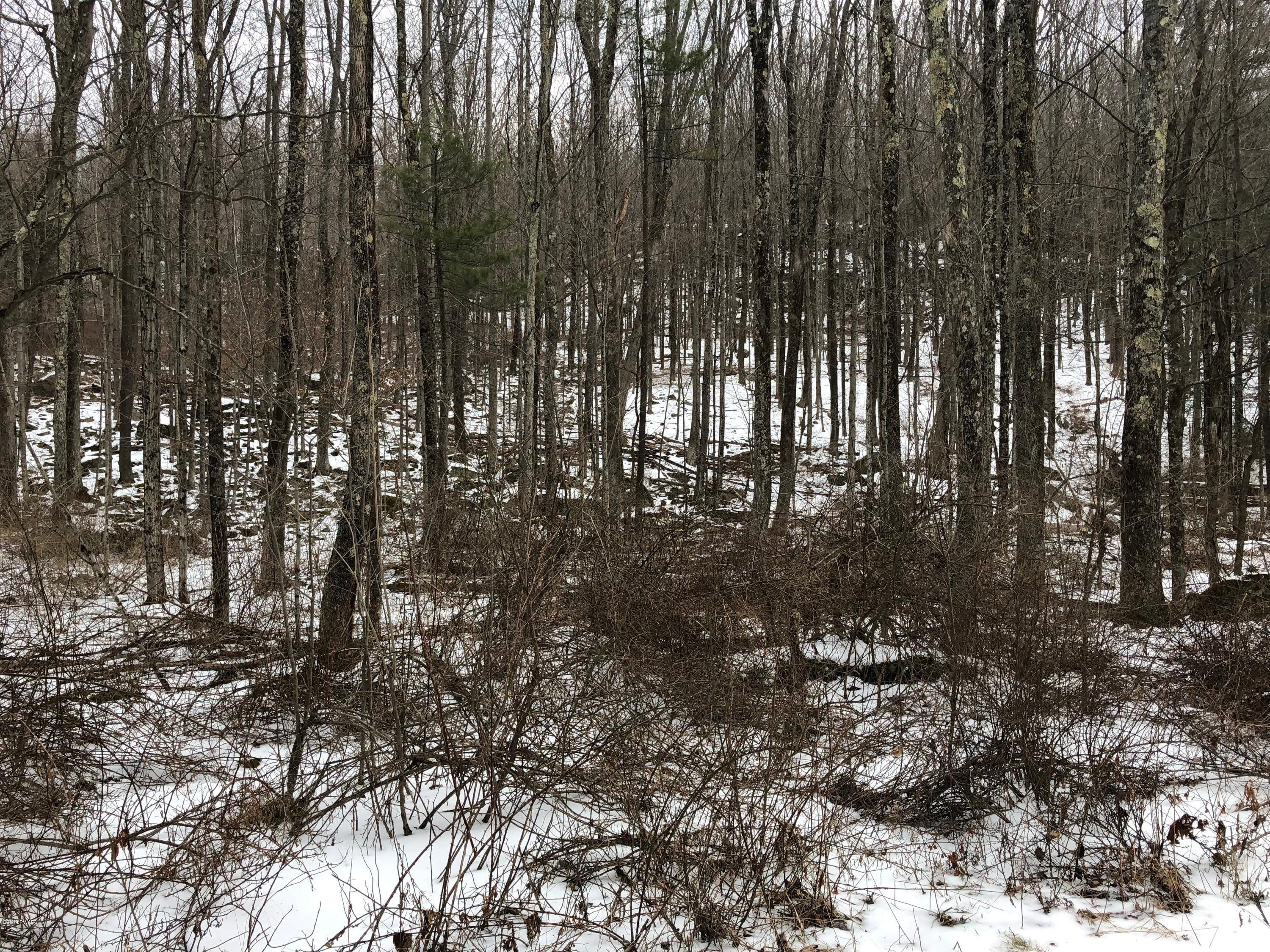 Mountain View Road Newfoundland, PA 18445 - Photo 2 of 15