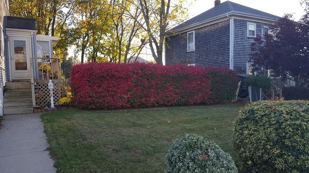 175 Field Street Fall River, MA 02721 - Photo 3 of 8