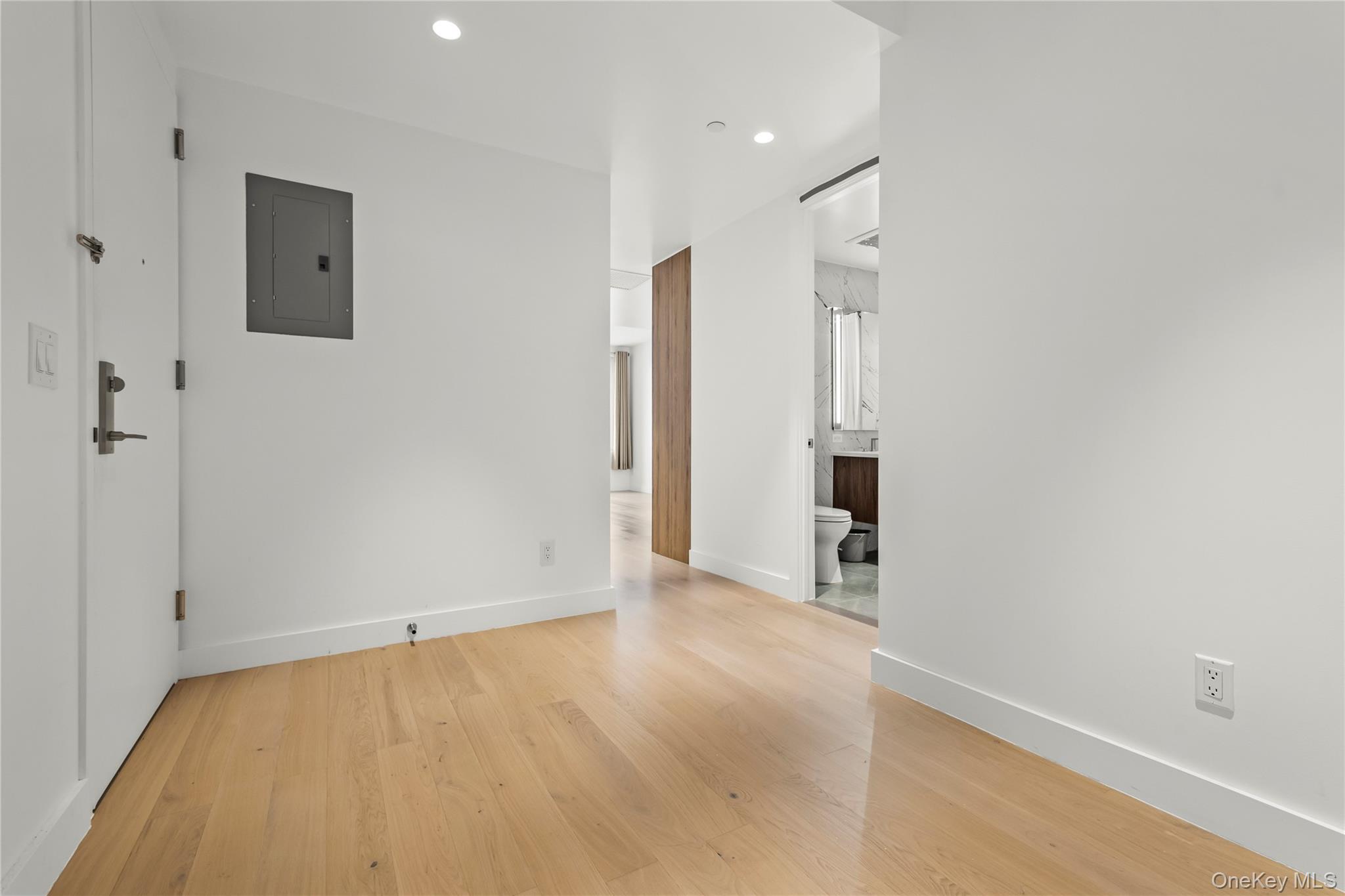 13618 Maple Avenue, Unit 5F Queens, NY 11355 - Photo 36 of 41 Empty room featuring electric panel, light wood-style flooring, and recessed lighting