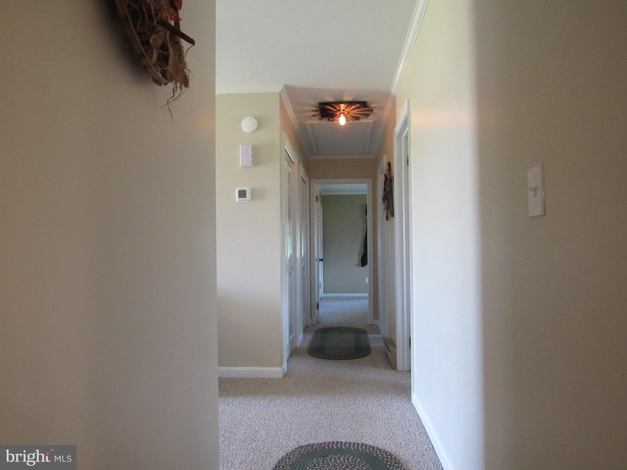 33535 Gordy Road Laurel, DE 19956 - Photo 29 of 40 Gallery Image 29