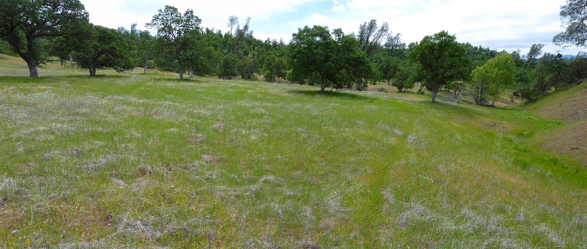Lot 157 Fiddlers Road Igo, CA 96047 - Photo 1 of 23 1