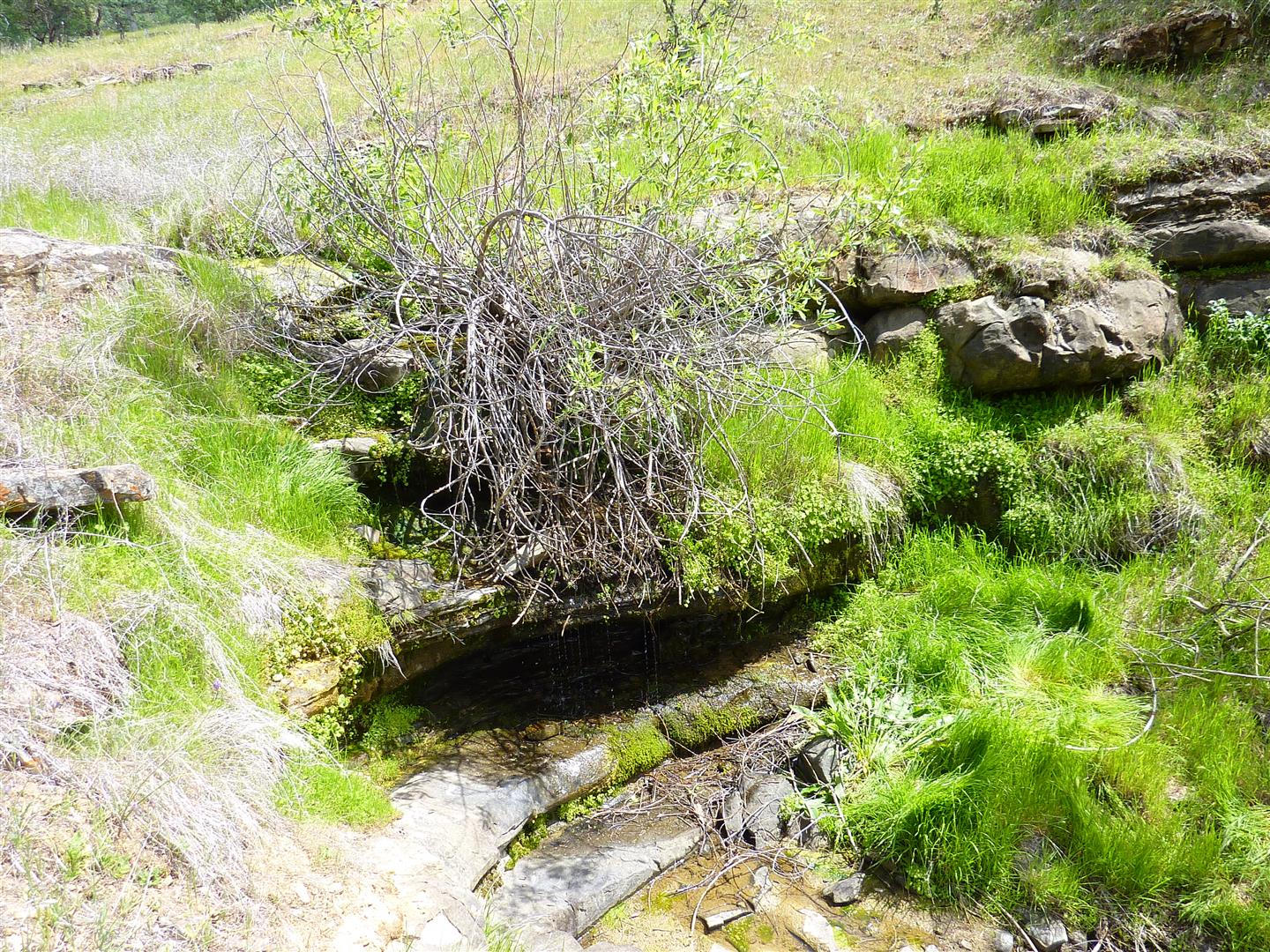 Lot 157 Fiddlers Road Igo, CA 96047 - Photo 11 of 23 P1030318