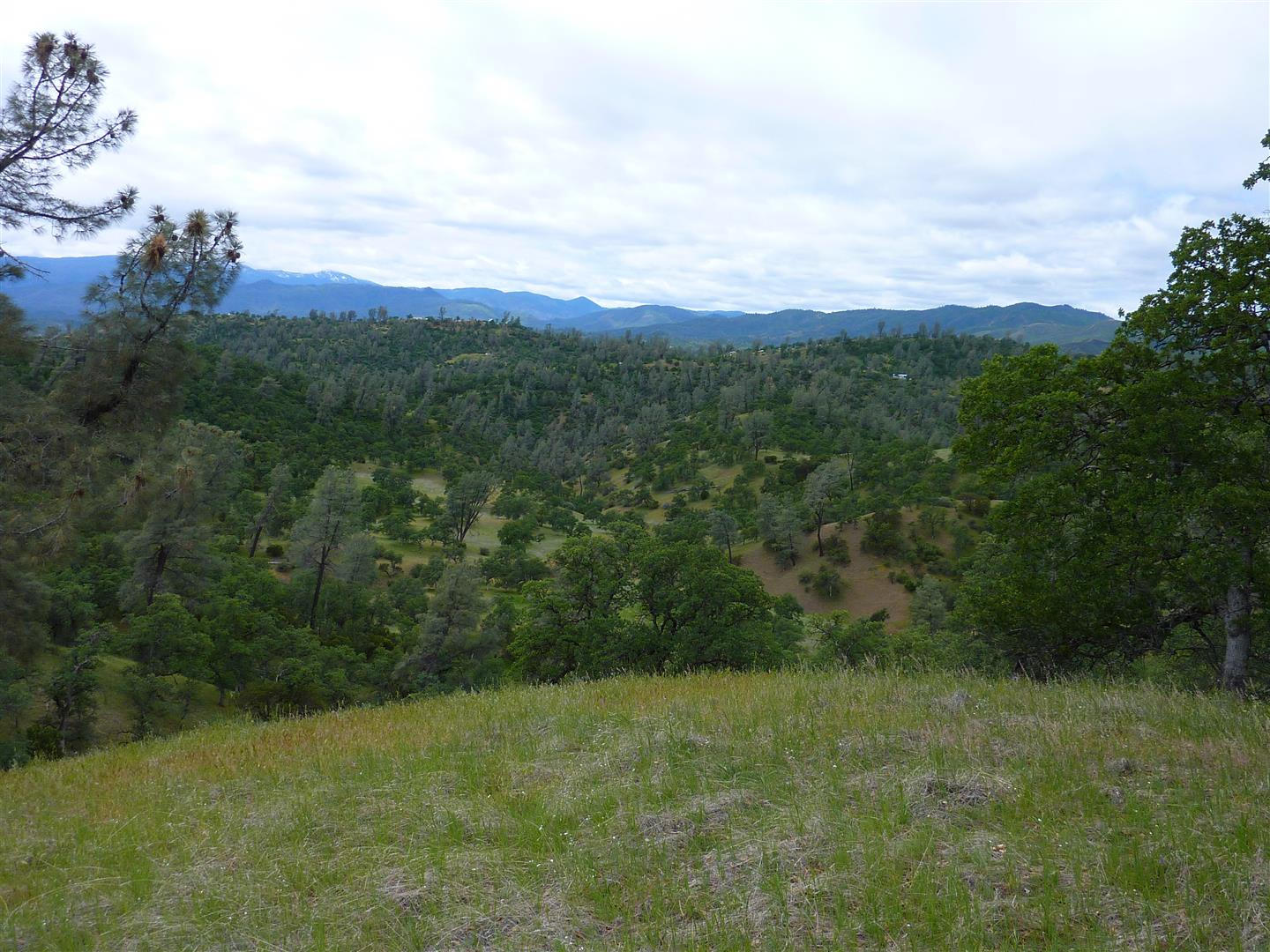 Lot 157 Fiddlers Road Igo, CA 96047 - Photo 14 of 23 P1030257