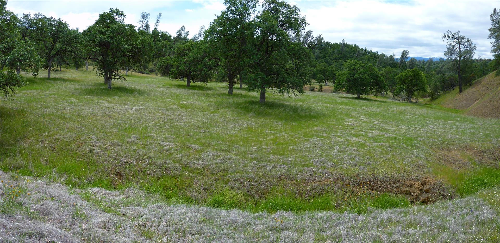 Lot 157 Fiddlers Road Igo, CA 96047 - Photo 8 of 23 g