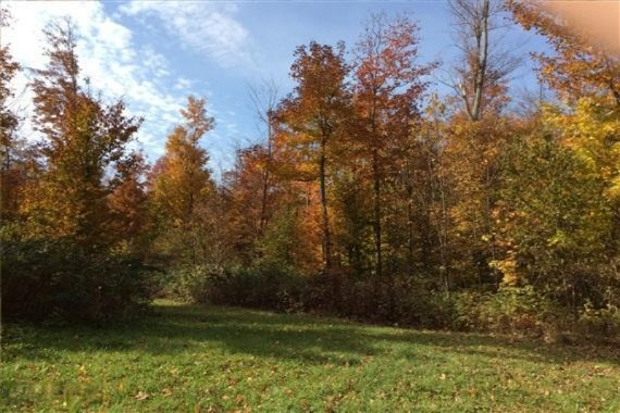 3280 Alba Road Mancelona, MI 49659 - Photo 14 of 15 14-WR