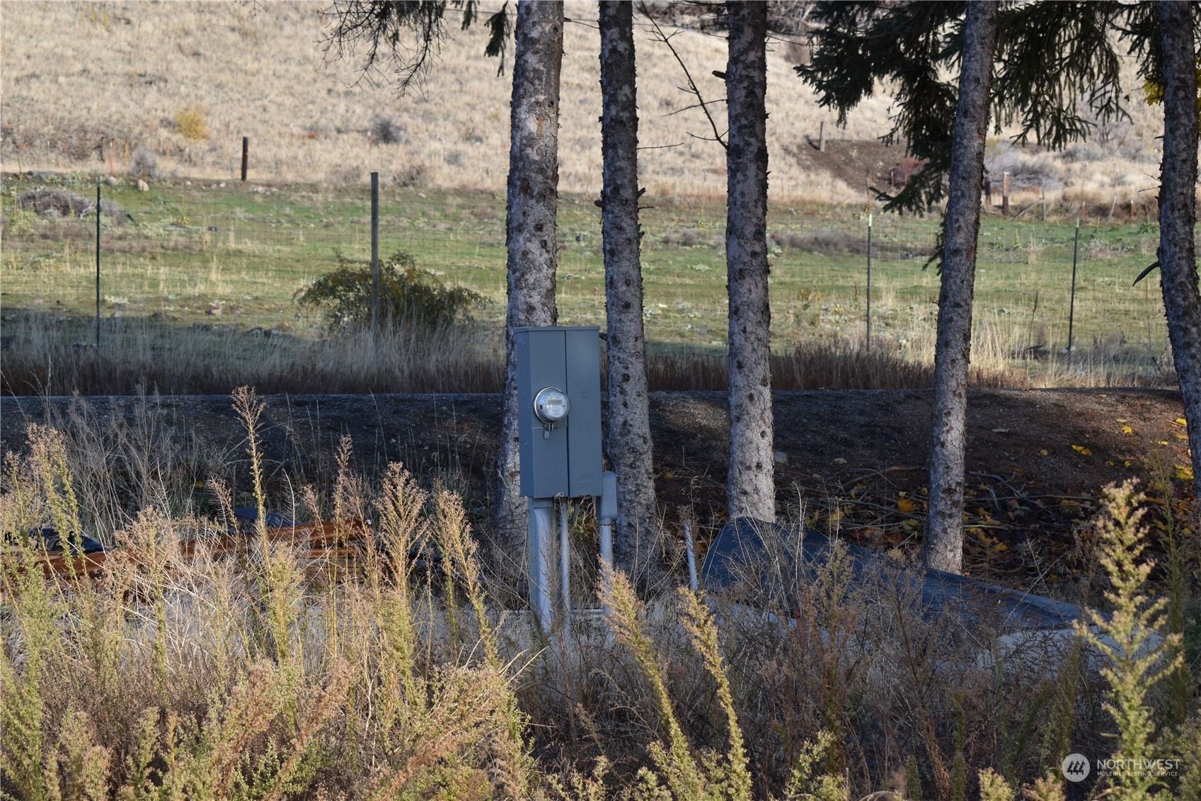 685 Loomis-Oroville Road Tonasket, WA 98855 - Photo 26 of 36