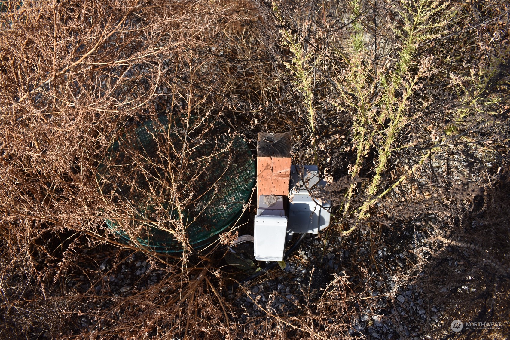 685 Loomis-Oroville Road Tonasket, WA 98855 - Photo 30 of 36 a yellow house with lots of trees
