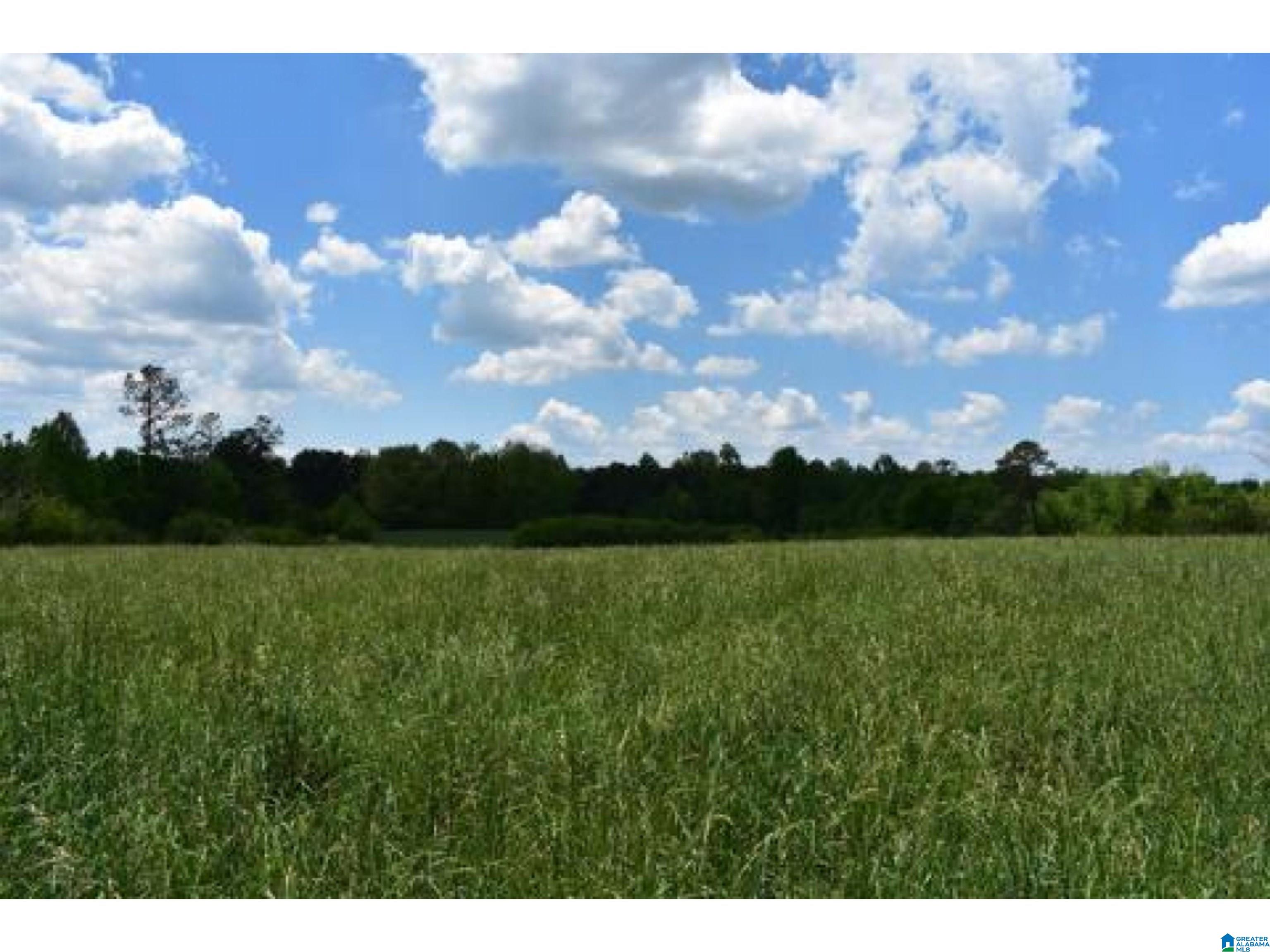 0 County Road 141, Unit 1 Ider, AL 35981 - Photo 25 of 29
