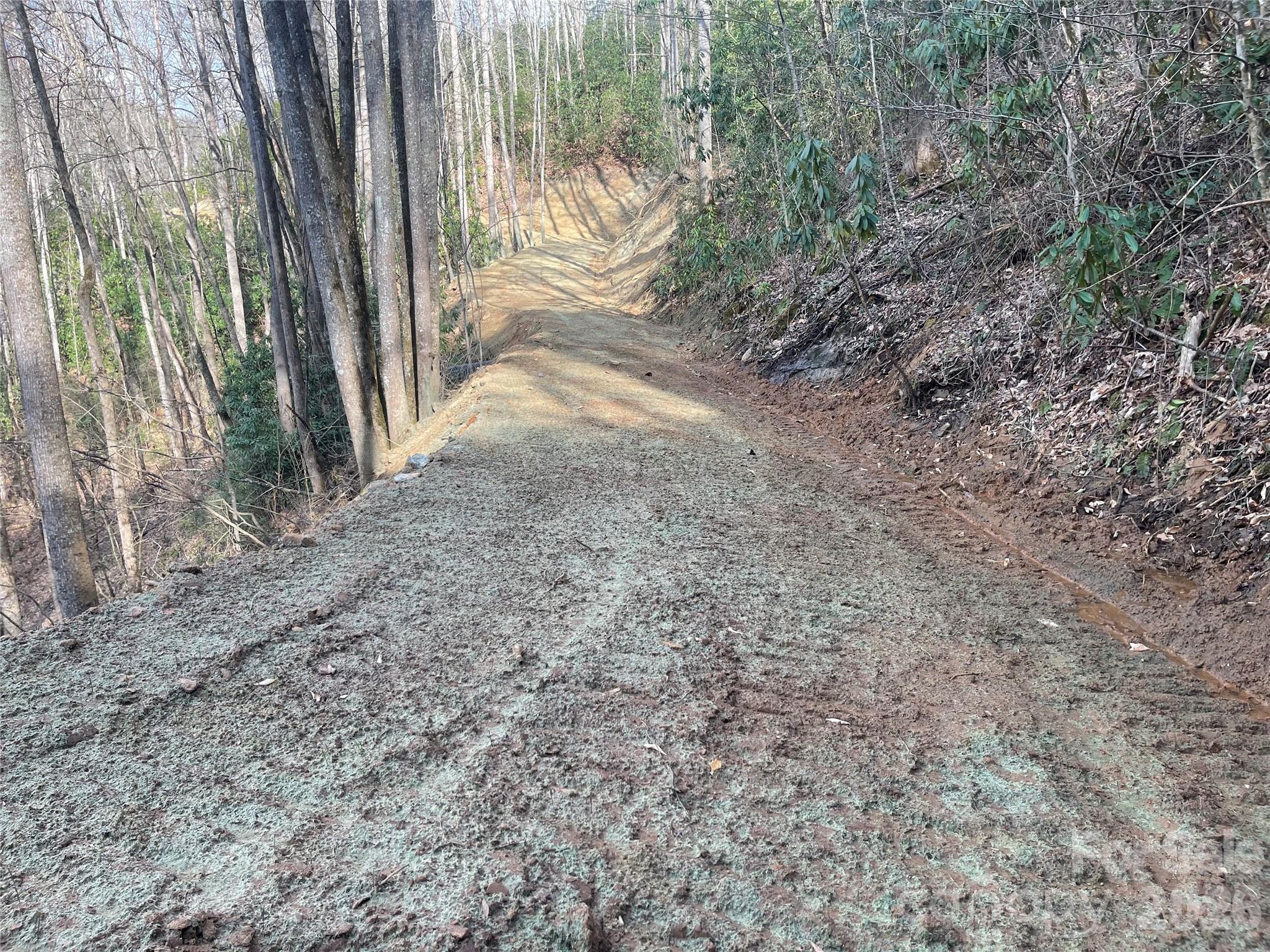 5 Copperhead Cove Road Sylva, NC 28779 - Photo 16 of 27
