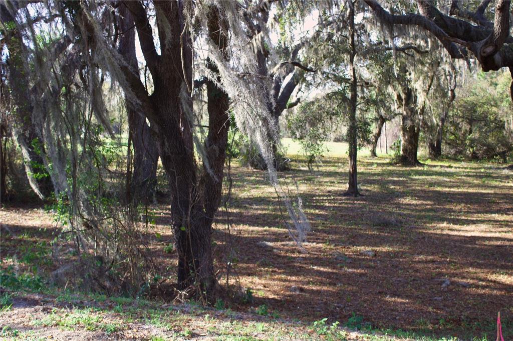 Ridge Road, Unit 47 Tavares, FL 32778 - Photo 24 of 41