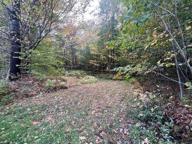 a view of a yard with a tree