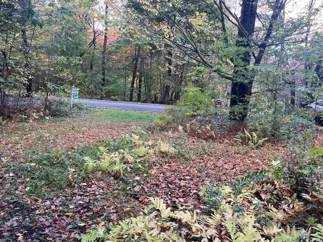 a view of a garden with large trees
