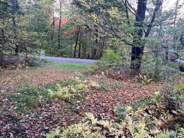 0 Strykers Road North Adams, MA 01247 - Photo 2 of 6 a view of a garden with large trees
