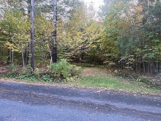 0 Strykers Road North Adams, MA 01247 - Photo 3 of 6 a backyard of a house with lots of green space