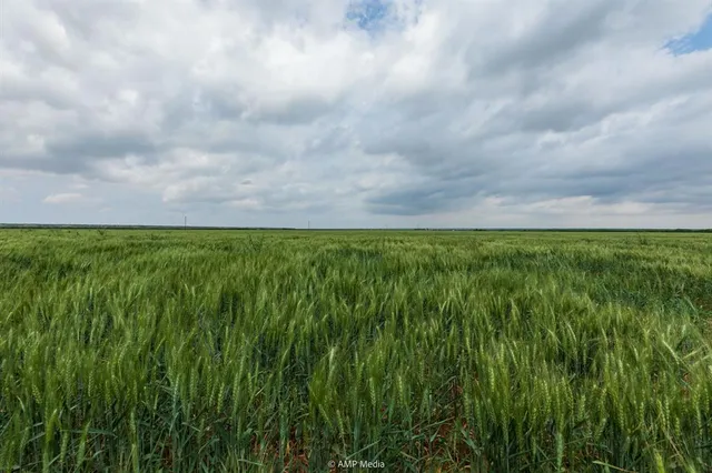 $843,150 | 417 Merkel Tx 79536, Merkel, TX 79536