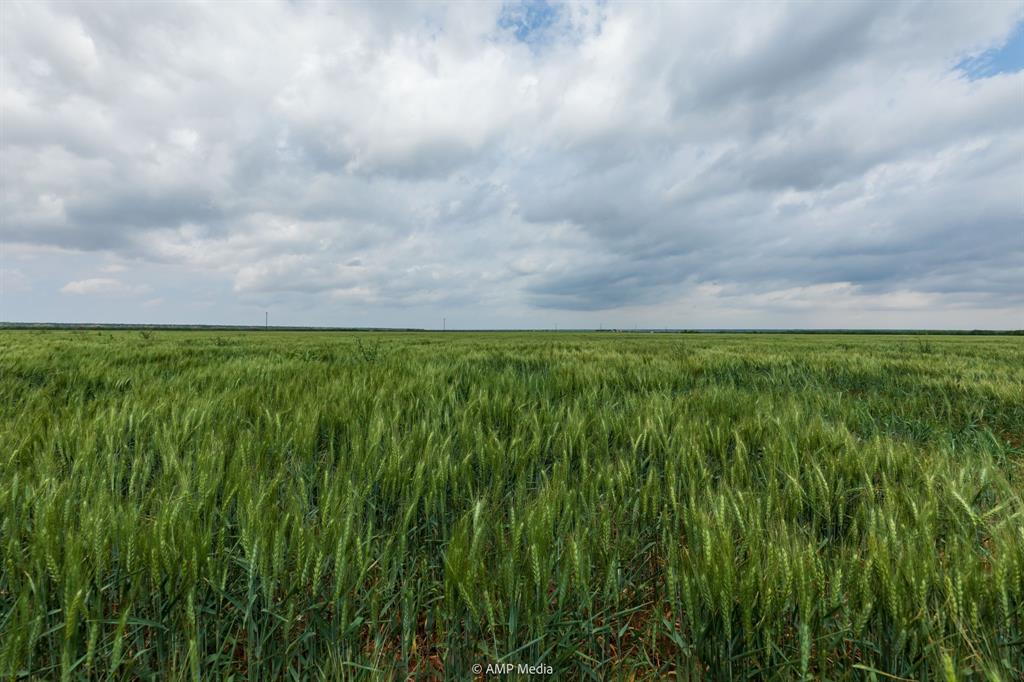 417 Merkel Tx 79536 Merkel, TX 79536 - Photo 11 of 40