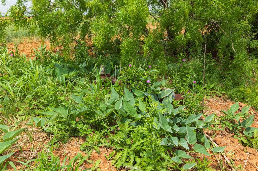 417 Merkel Tx 79536 Merkel, TX 79536 - Photo 13 of 40