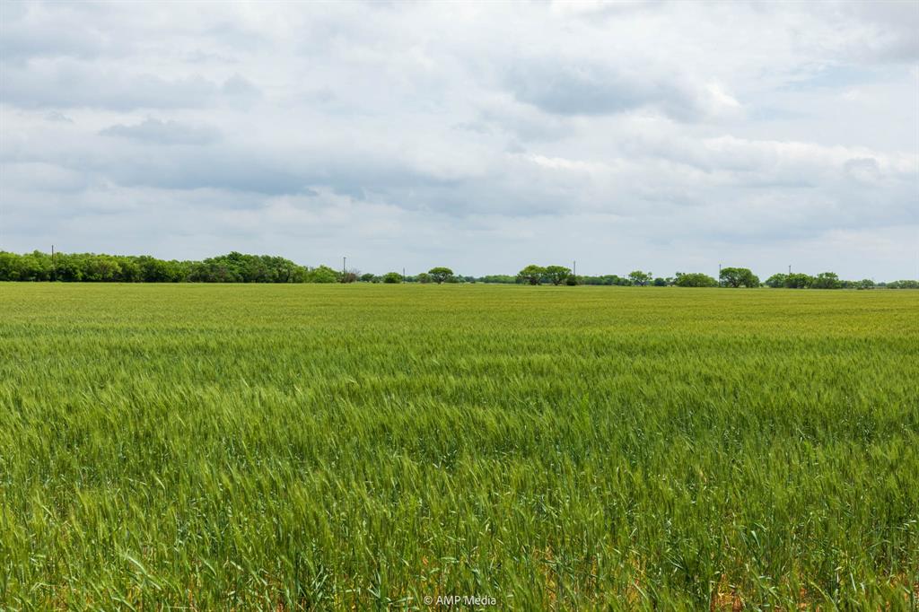 417 Merkel Tx 79536 Merkel, TX 79536 - Photo 16 of 40