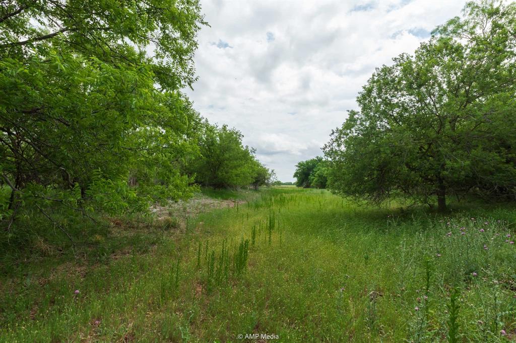 417 Merkel Tx 79536 Merkel, TX 79536 - Photo 24 of 40