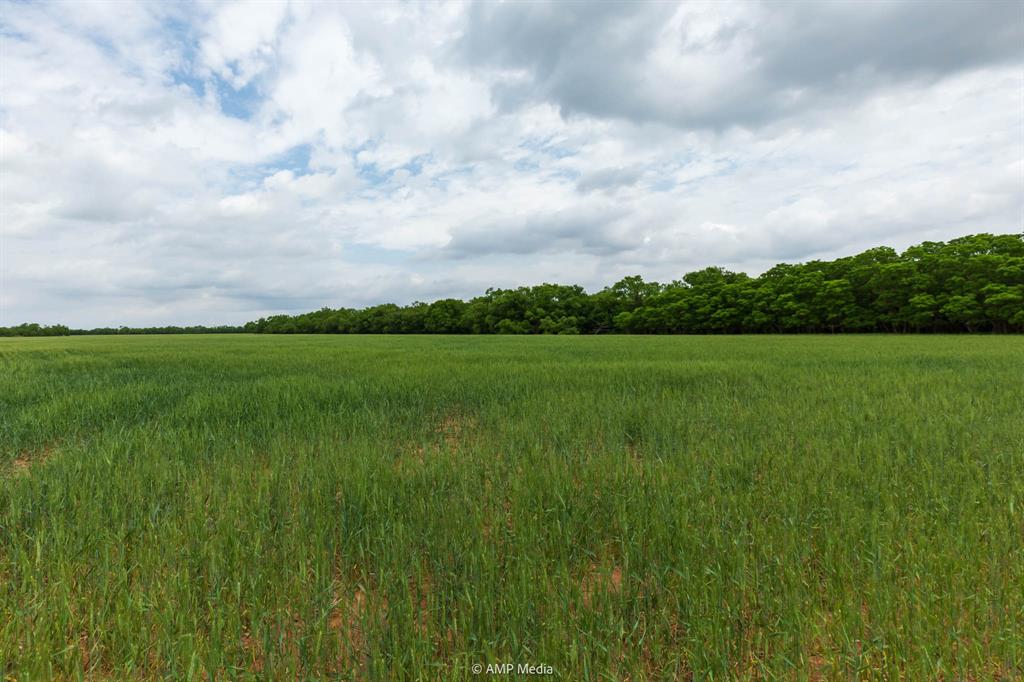 417 Merkel Tx 79536 Merkel, TX 79536 - Photo 25 of 40