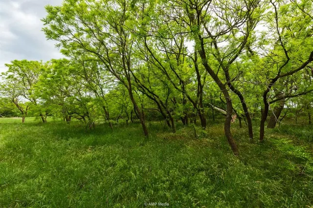 $843,150 | 417 Merkel Tx 79536, Merkel, TX 79536