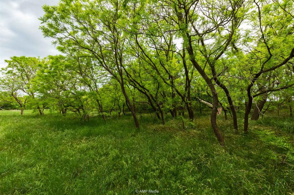 417 Merkel Tx 79536 Merkel, TX 79536 - Photo 27 of 40