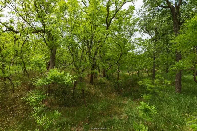 $843,150 | 417 Merkel Tx 79536, Merkel, TX 79536