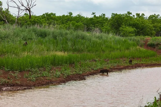 $843,150 | 417 Merkel Tx 79536, Merkel, TX 79536