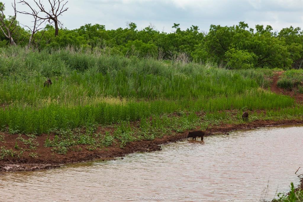 417 Merkel Tx 79536 Merkel, TX 79536 - Photo 3 of 40