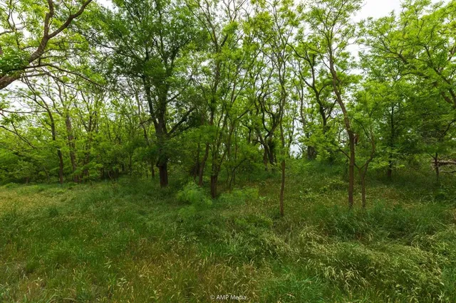 $843,150 | 417 Merkel Tx 79536, Merkel, TX 79536