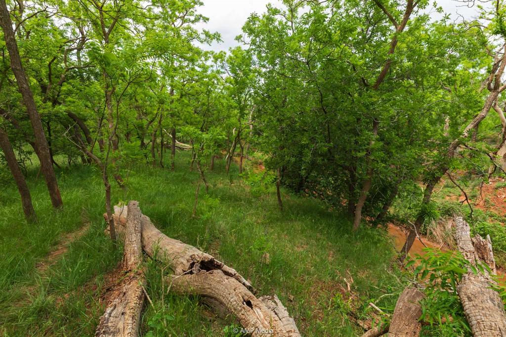 417 Merkel Tx 79536 Merkel, TX 79536 - Photo 40 of 40