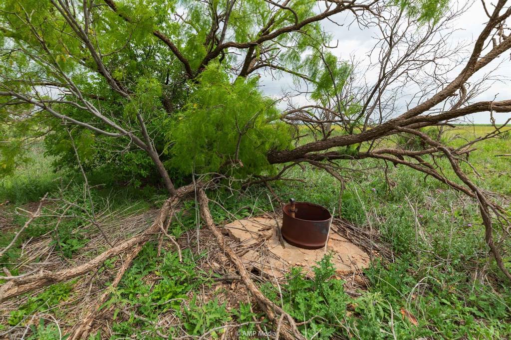 417 Merkel Tx 79536 Merkel, TX 79536 - Photo 9 of 40