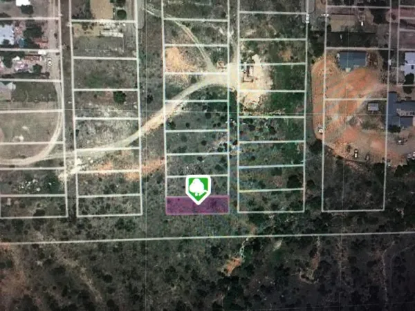 a view of lot of a window