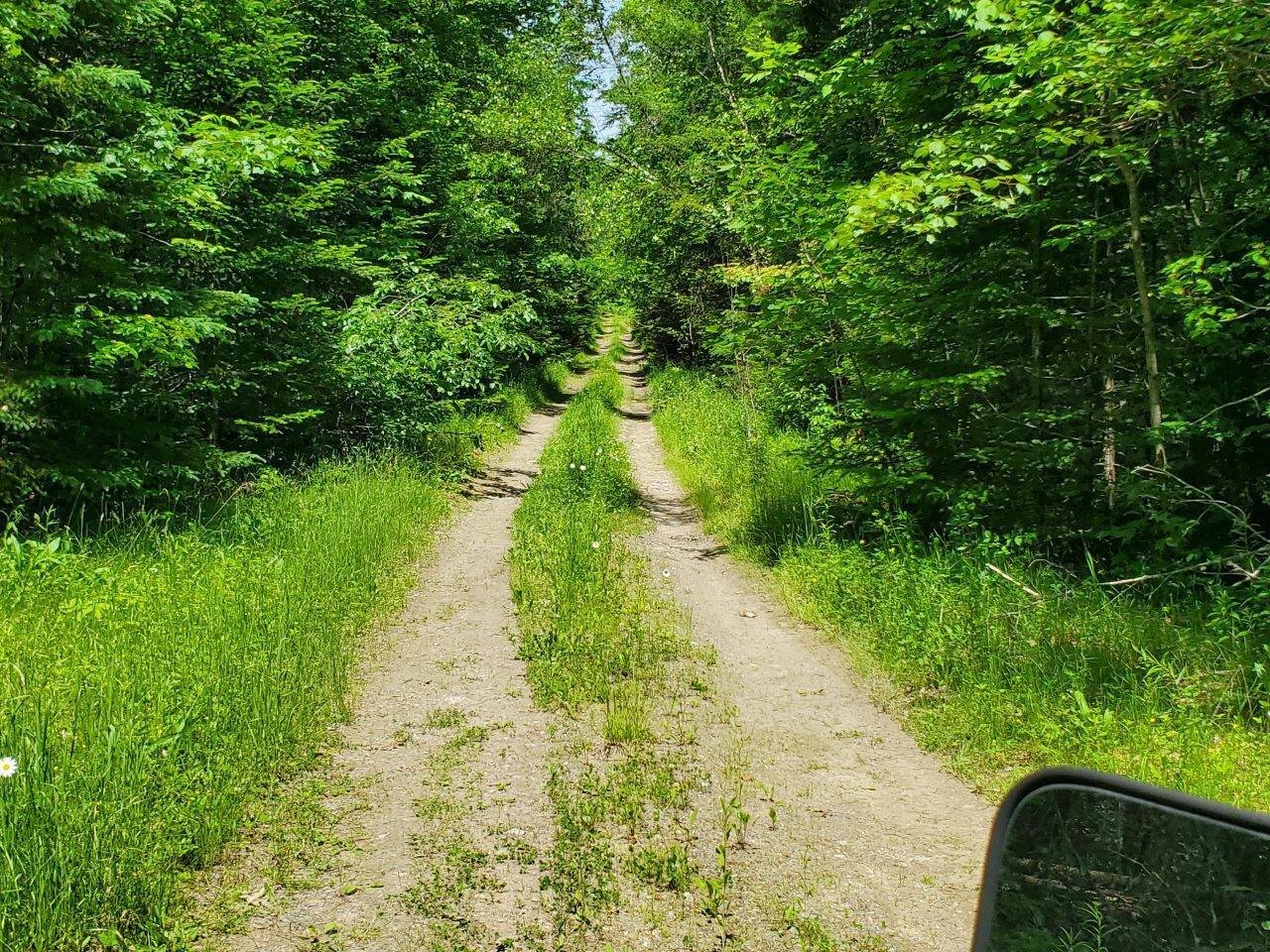 0 Morgan Road Burnham, ME 04922 - Photo 31 of 69 20250617_124147