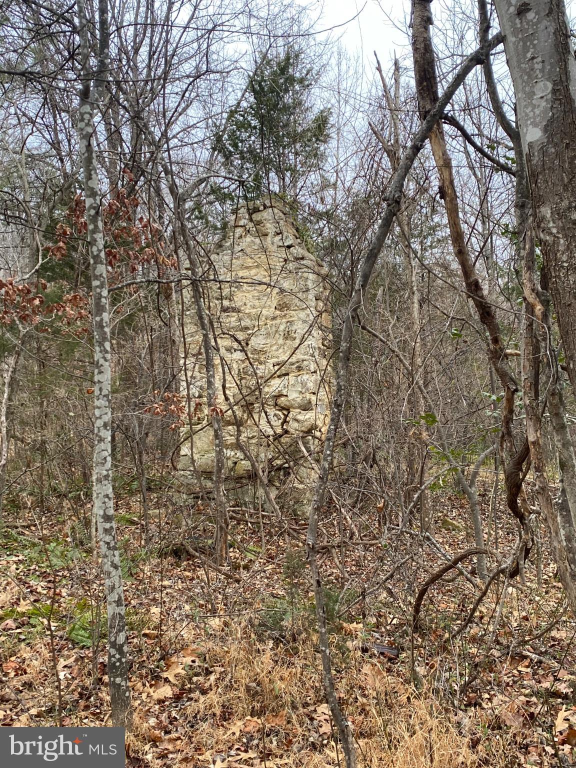 0 Settle School Road Rixeyville, VA 22737 - Photo 3 of 9 Nature's embrace around a forgotten relic.