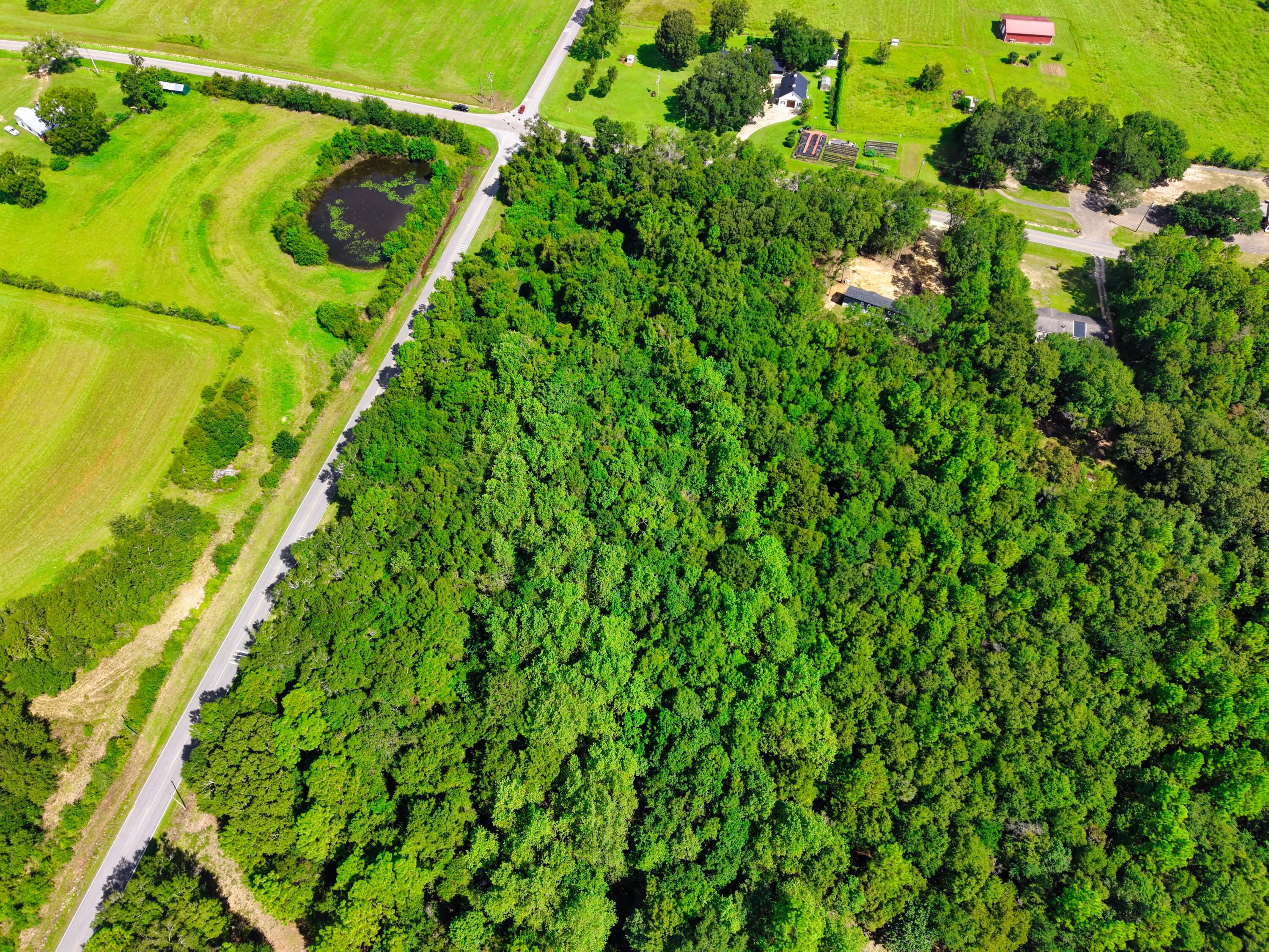 Tbd Long Road Laurel Hill, FL 32567 - Photo 12 of 21 DJI_20260906113827_0252_D