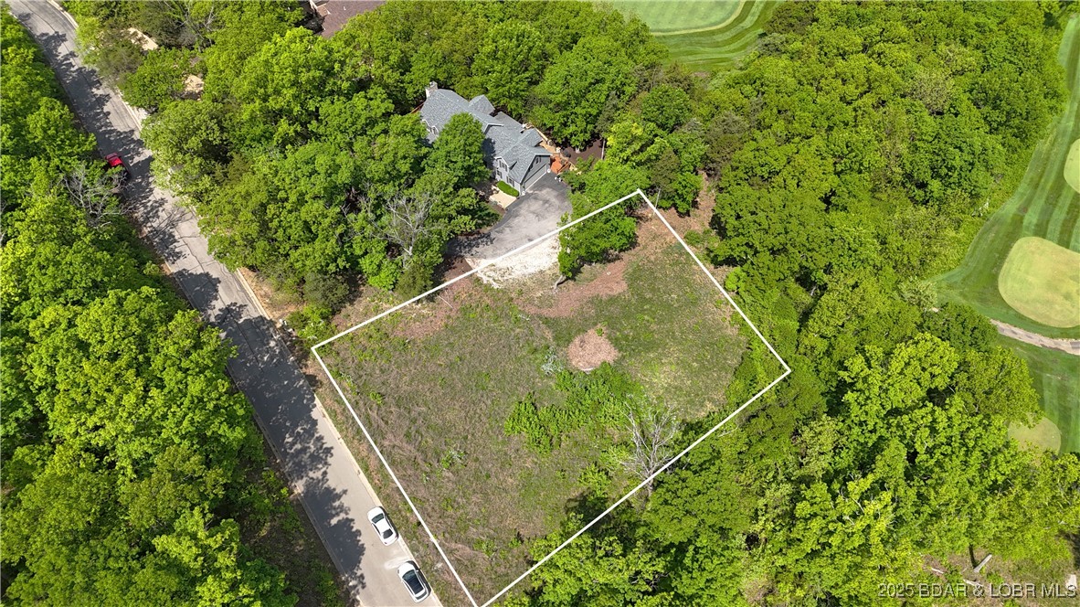 Lot 9 Country Ridge Drive Camdenton, MO 65020 - Photo 4 of 15