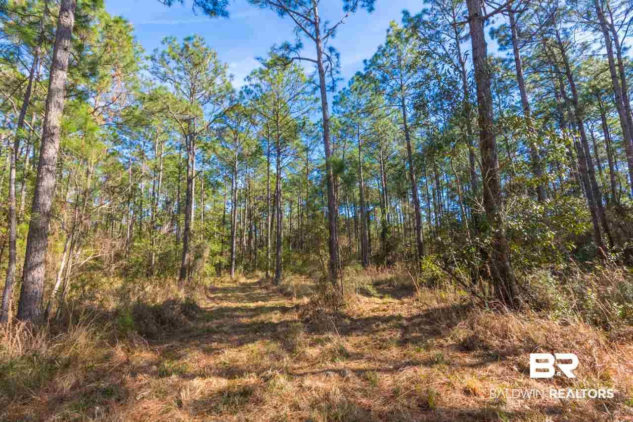21801 County Road 28 Foley, AL 36535 - Photo 28 of 41