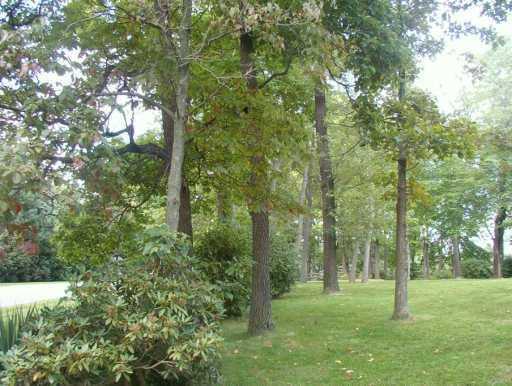 124 Laurel Way Spring Church, PA 15686 - Photo 8 of 8 Yard/Garden.