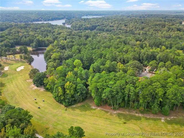 a view of a lake with a mountain