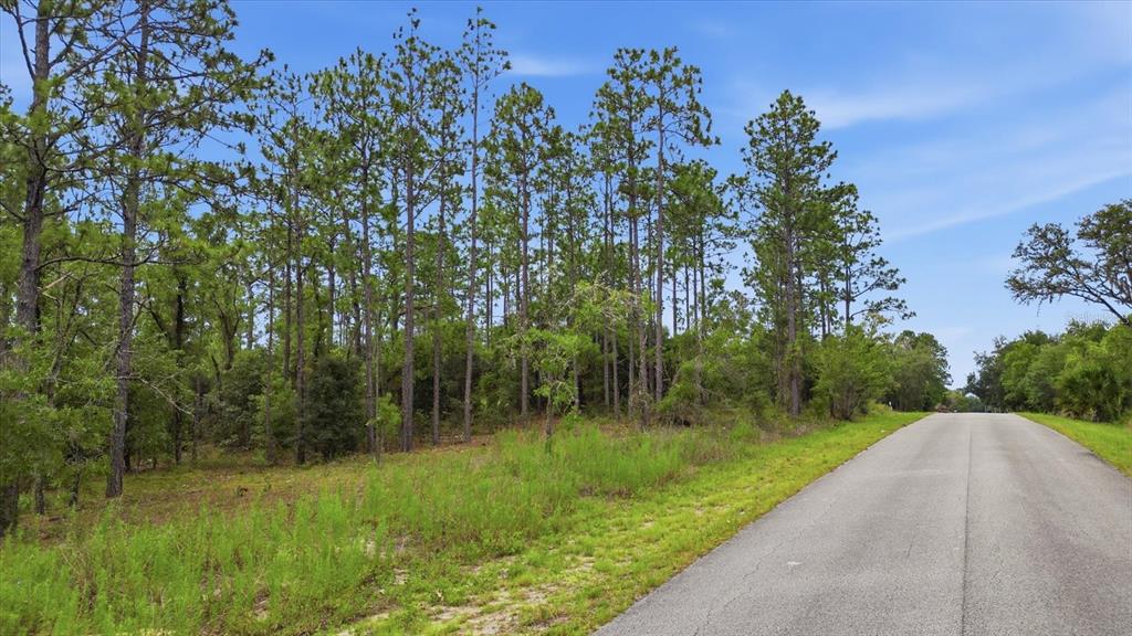 0 Southwest Sands Point Avenue Dunnellon, FL 34431 - Photo 2 of 6