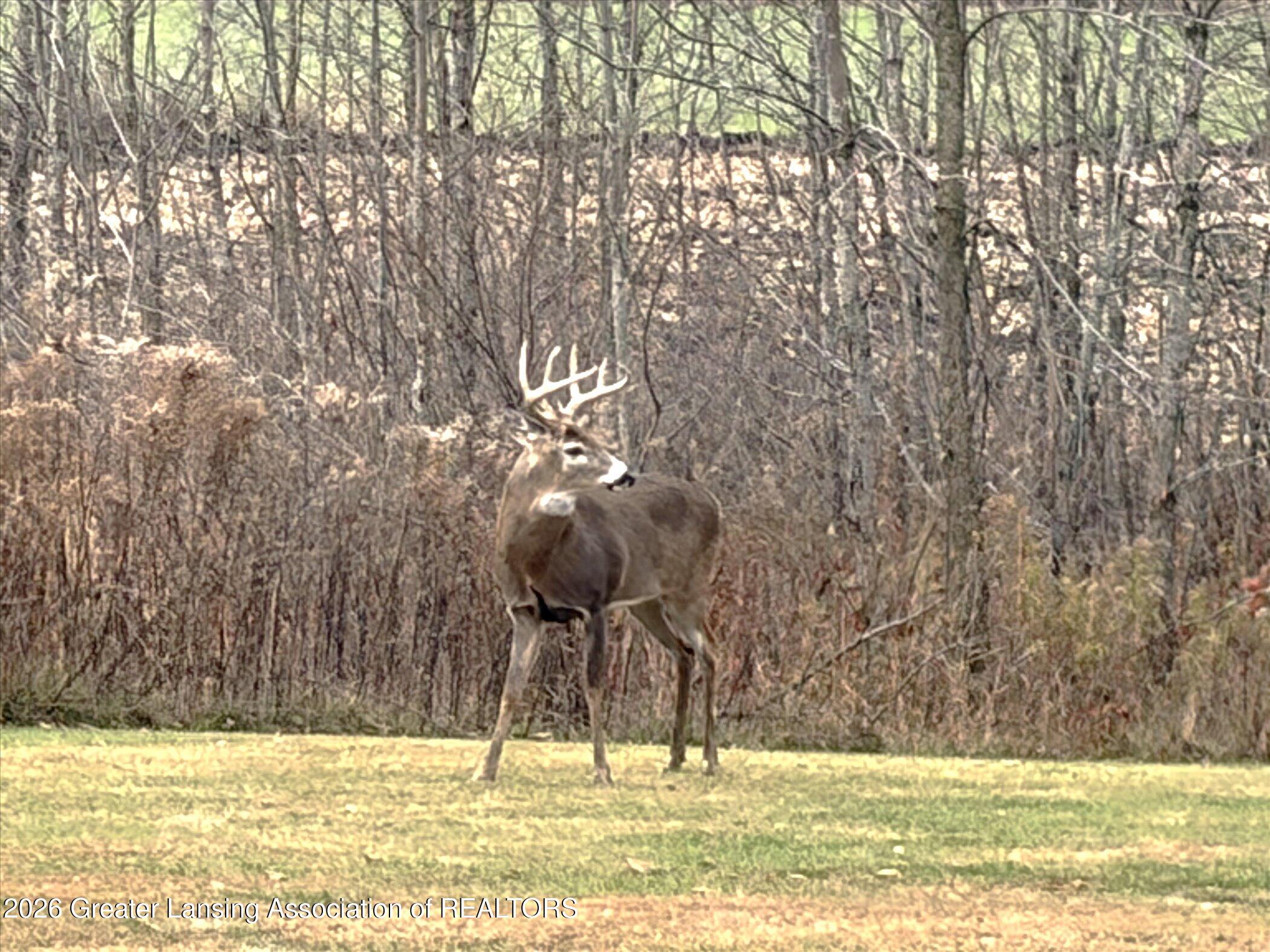 860 Gaiser Road Owosso, MI 48867 - Photo 64 of 66 64-GAISER BIG BUCK 2