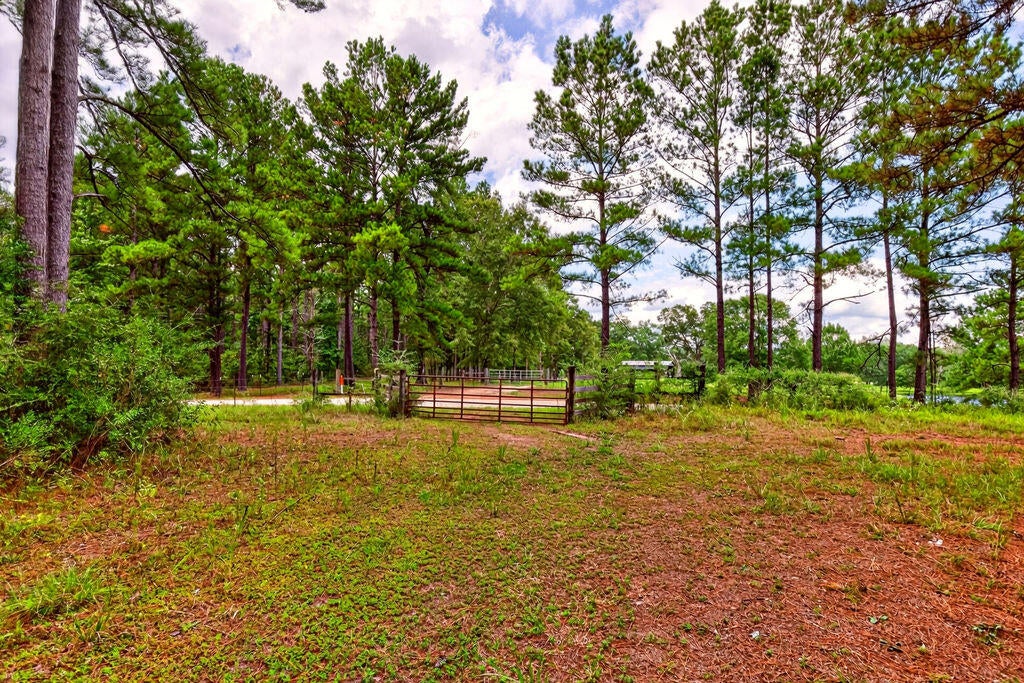 552 Yawn School Road Lumberton, MS 39455 - Photo 28 of 36 Gallery Image 28