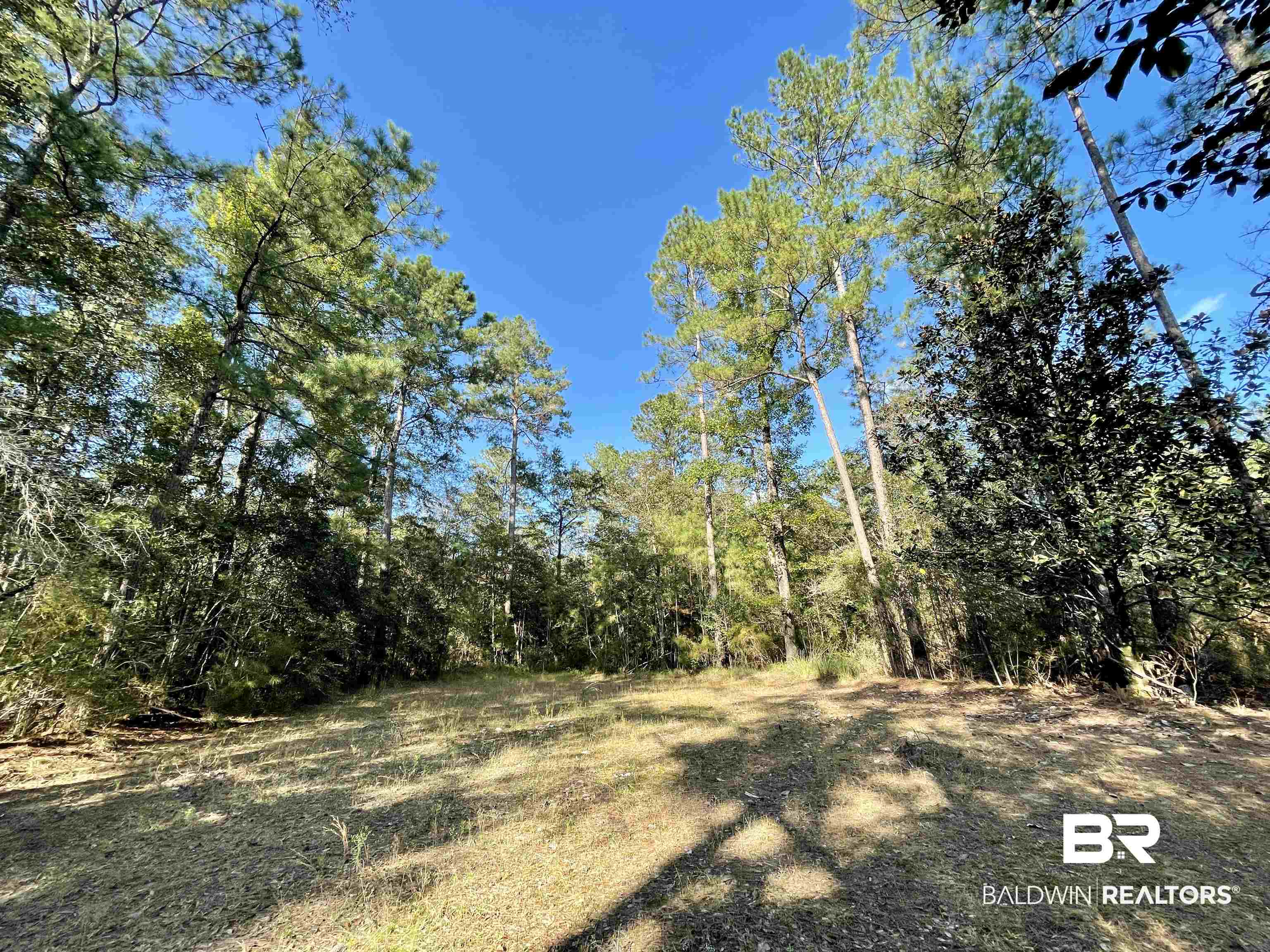 0 Country Road Vinegar Bend, AL 36584 - Photo 19 of 46