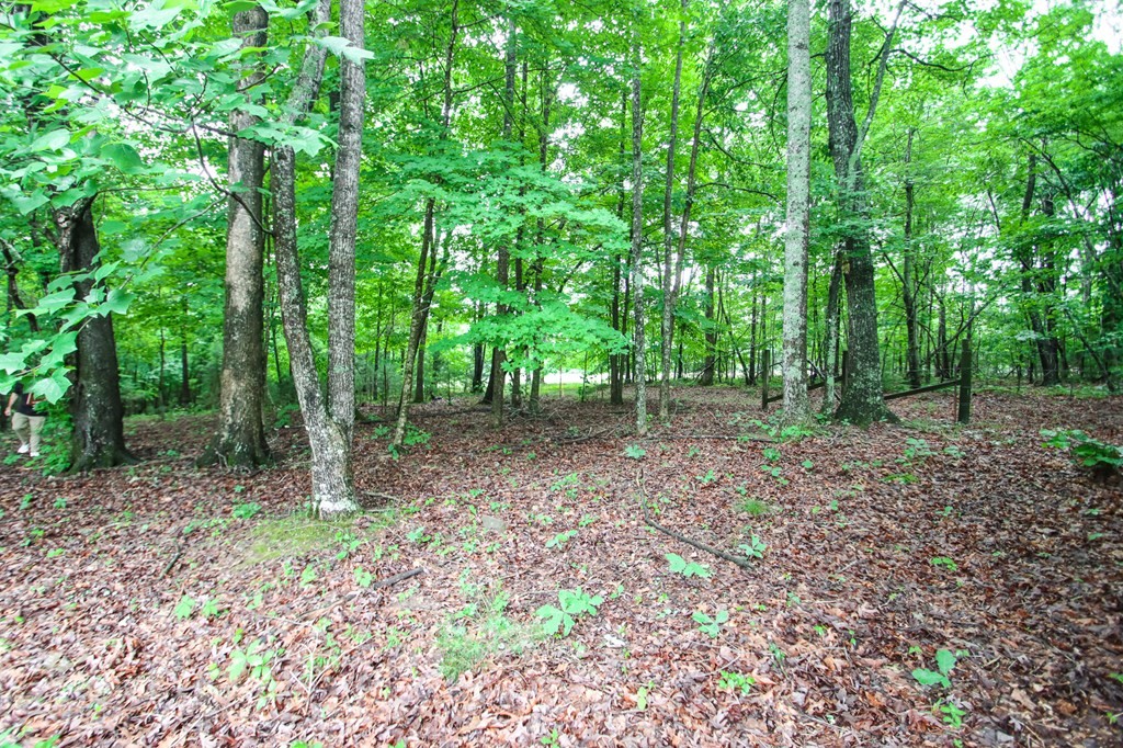 541 Toy Slatten Road Sparta, TN 38583 - Photo 32 of 34