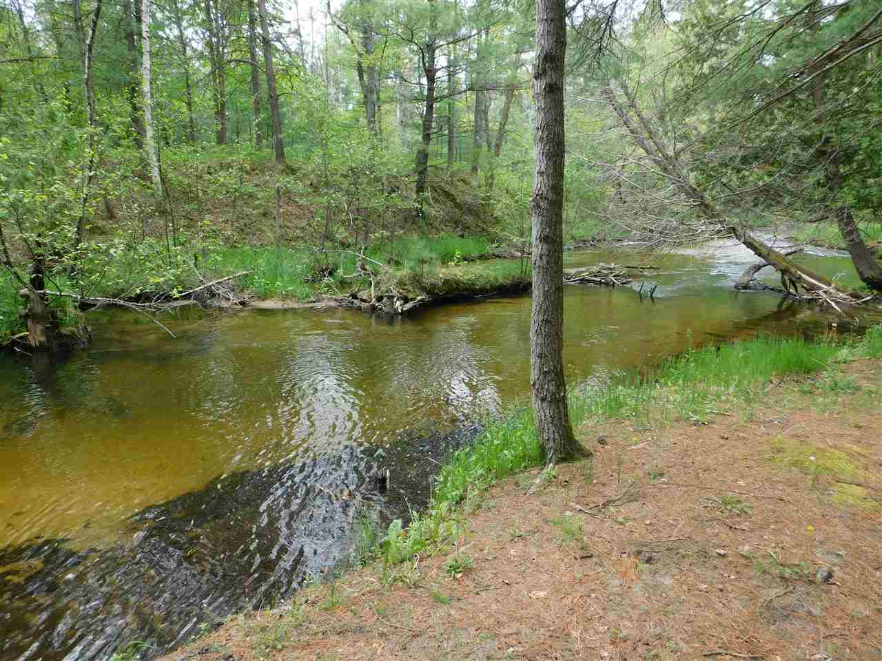 5263 South River Road Kalkaska, MI 49646 - Photo 22 of 28 1833422-21.JPG