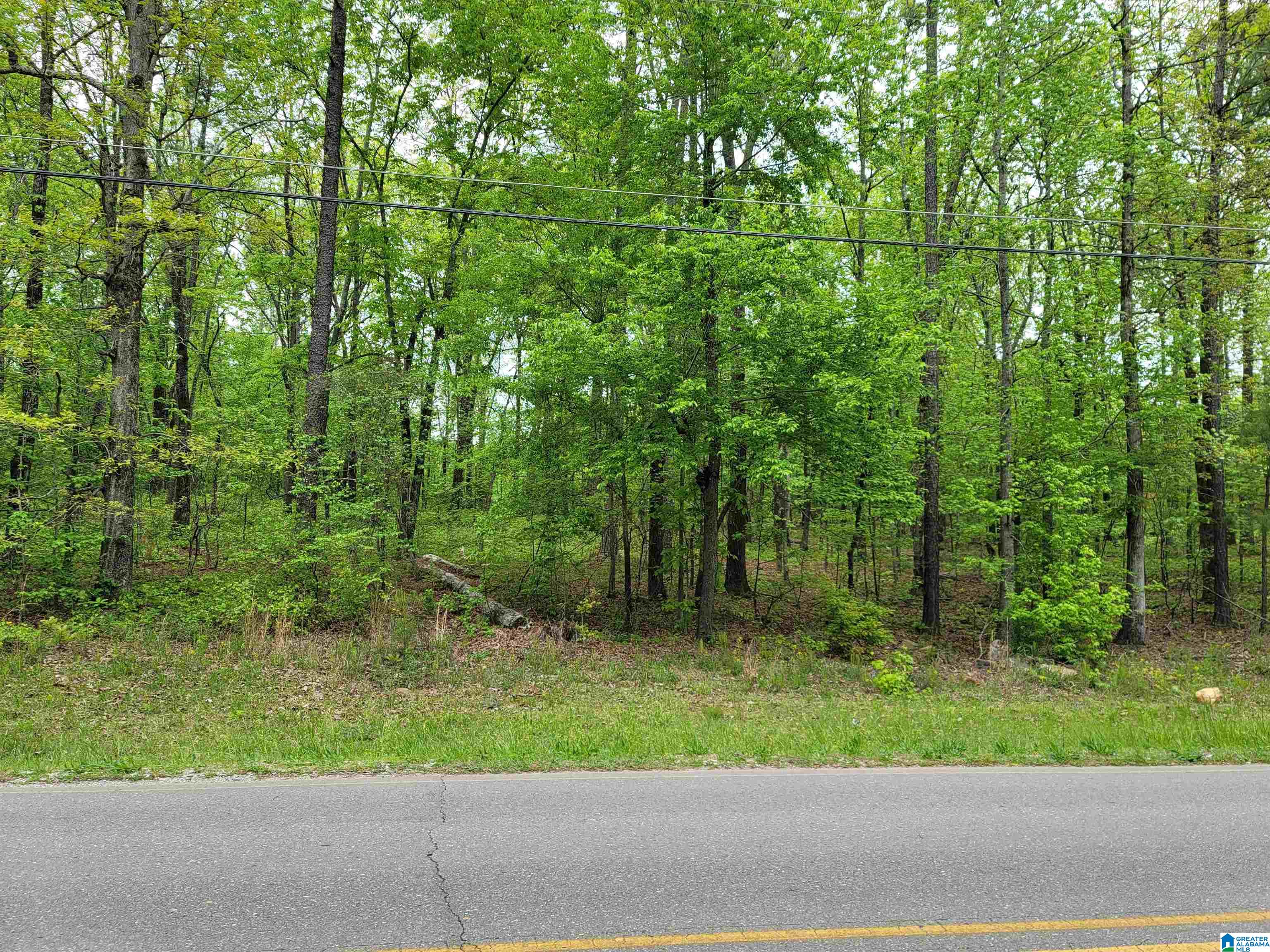 0 Mays Bend Road, Unit 7 Pell City, AL 35128 - Photo 1 of 3