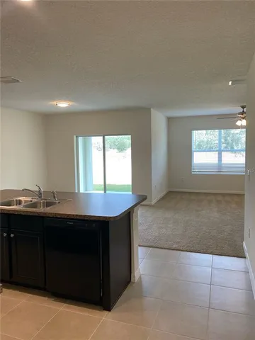 a kitchen with a sink a window and cabinets