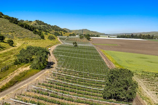 $3,900,000 | 0 Ca Highway, Los Alamos, CA 93440